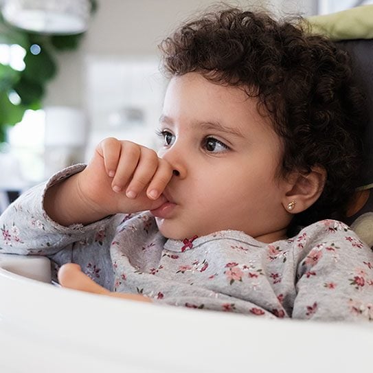 William L. Ingram DMD -